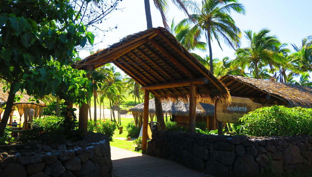 Easter Island and Anakena Beach Trip - Photo 5