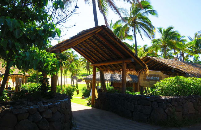 Easter Island and Anakena Beach Trip - Photo 5