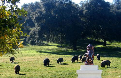 Cortijo Huerta Galindo - Foto 37