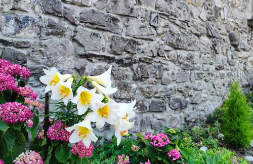 Stone House - Foto 32