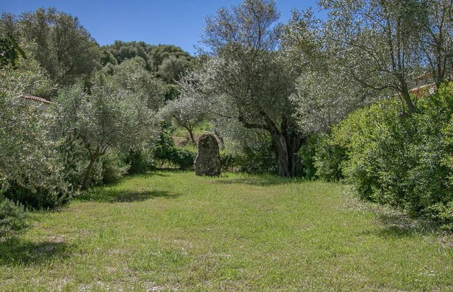 Welcomely - Country House Muristene- Iris - Foto 20