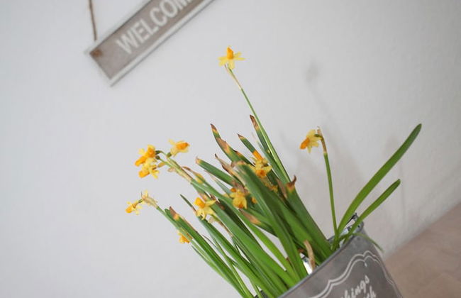 Bermuda Apartment Bochum City - Foto 9