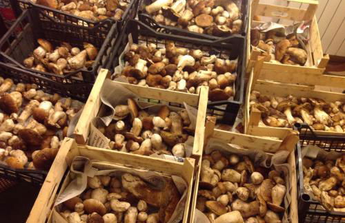 Agriturismo Barcola - Foto 25