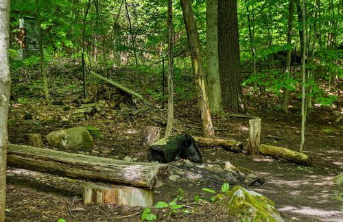 Saratoga Guest House - Foto 11