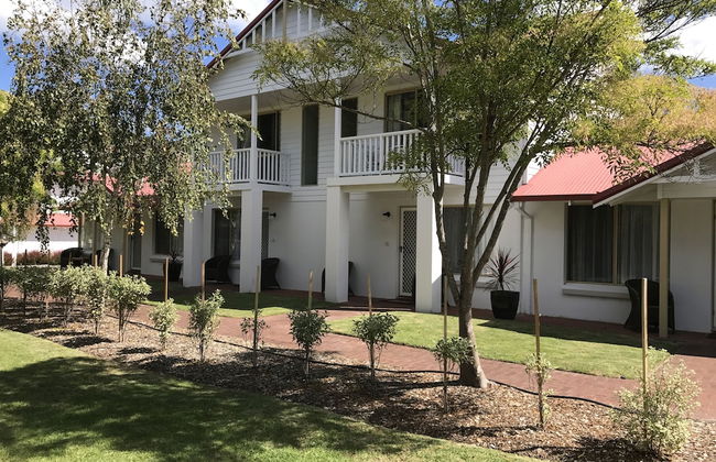 Pelicans Albany - Foto 6