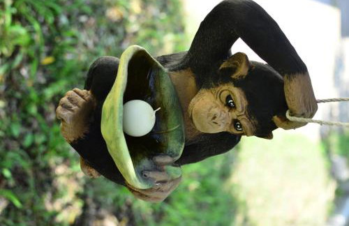 VILA KALIMERA private pool - Foto 34