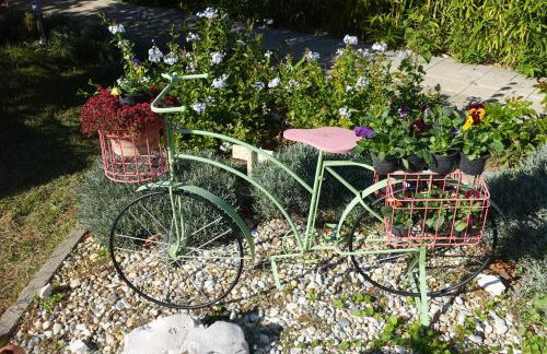 Apartments Zaton - Photo 11