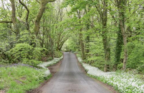 Egg Pudding Stone - Foto 32