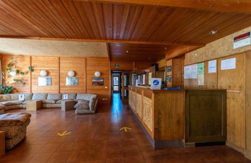 Petit Arnica - Foto 18