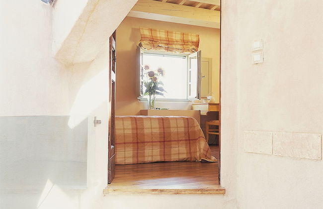 Tenuta Santi Giacomo e Filippo - Foto 5