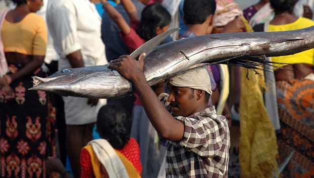 Visite du village de pêcheurs de Vizhinjam - Photo 2