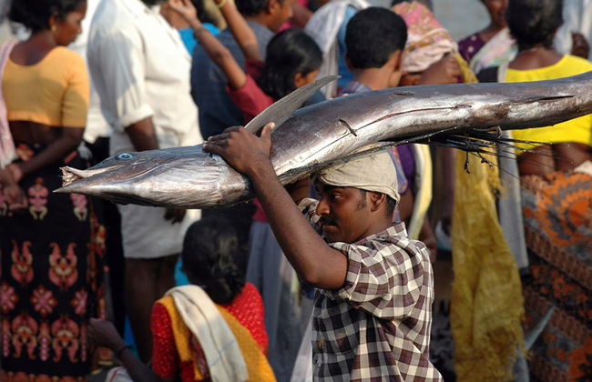 Visit to Fishermen Village at Vizhinjam - Photo 2