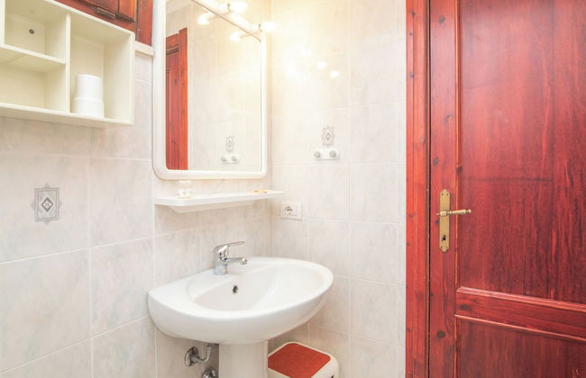 Mono Gambero Eucalyptus 241 - Foto 7