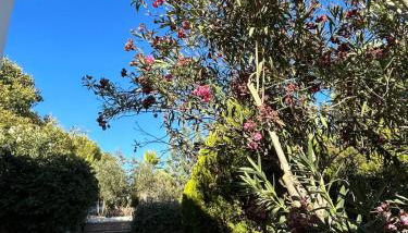 Cortijo Burruelo - Photo 5