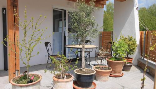 Arber Lofts in Bayerisch Eisenstein - Foto 4