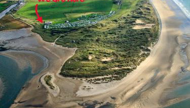 Little Curlew, Ynyslas, Borth - Foto 3