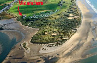 Little Curlew, Ynyslas, Borth - Foto 3