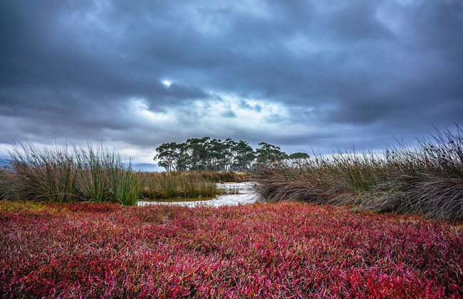 Saintys Creek Cottage - Foto 13