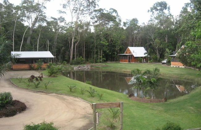 Rainforest Ranch - Photo 14