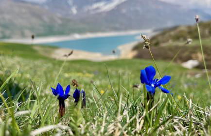 Aux portes du parc national de la Vanoise Appartement Termignon Val Cenis avec Wifi - Foto 24