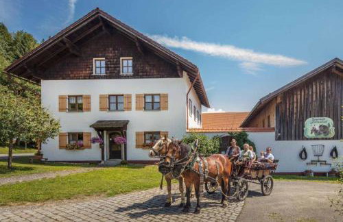 Bayerwald-Ferienhof Schmid - Foto 19