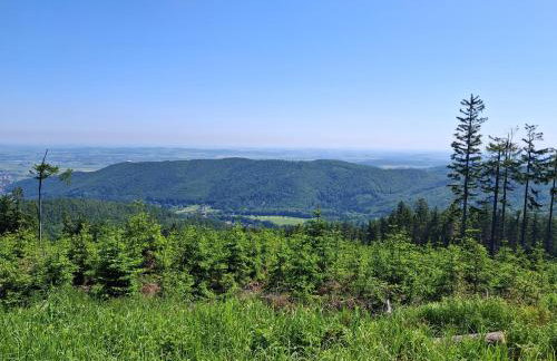 Sowie Pokoje - Foto 22