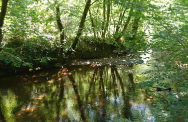 La Croisée Des Chemins - Foto 22
