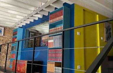 Loft sur saône - Photo 10