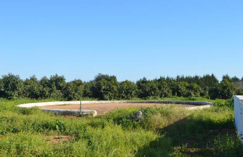 Quinta das Figueiras - Foto 19