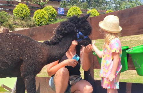 Agroturystyka Zagroda Alpaka - Foto 78