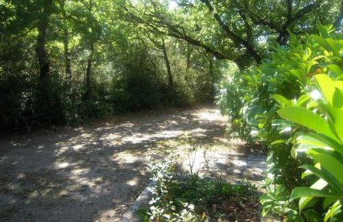 Gîte de Linas - Foto 22