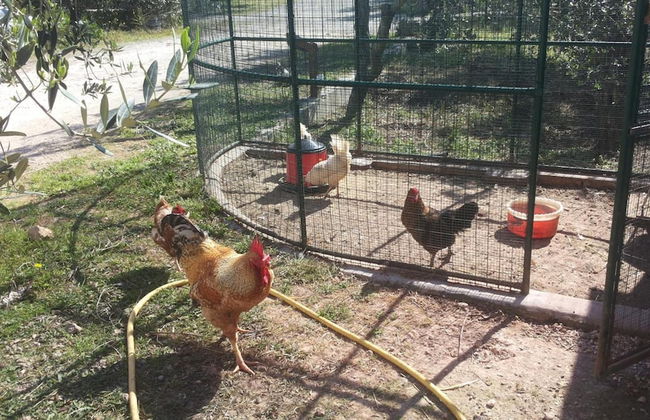 Agriturismo Specchiarussa - Foto 43