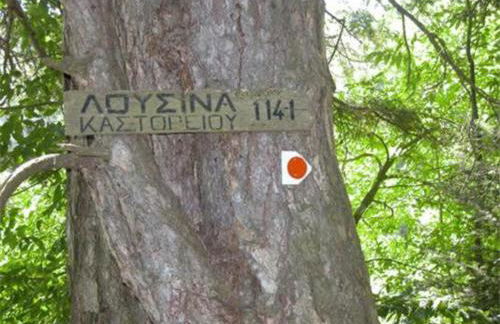 Kastorio-Villy's Guest House - Foto 64