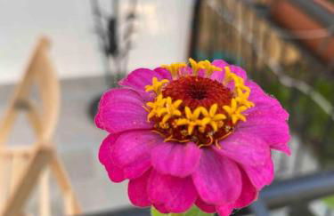 Casa del Salice Lagoon View with Garden - Photo 35