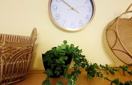 Blütenhaus im Rhododendronpark 5 min zum See - Foto 18