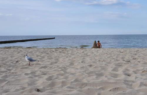 Ferienhaus Schütt - Foto 23