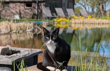 Traumkrone Ferienwohnungen - Himmelblau - Foto 45