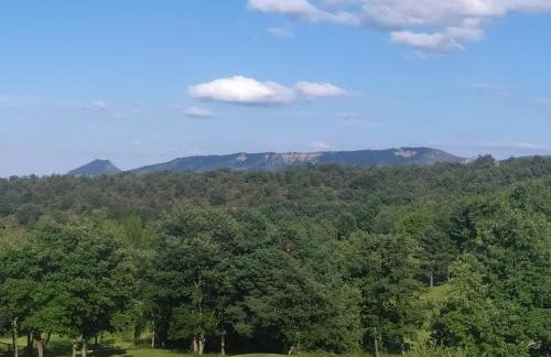 Wood, Wine & Golf - Foto 37