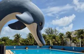 Apartamento Aluguel Morro Branco. - Photo 15