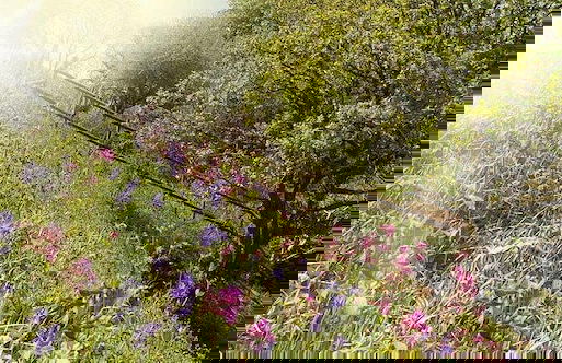 Watermill Cottages - Foto 8