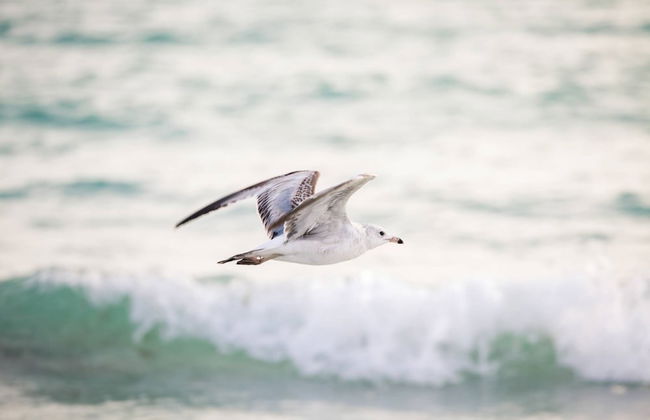 Smooth Sailing - Foto 50