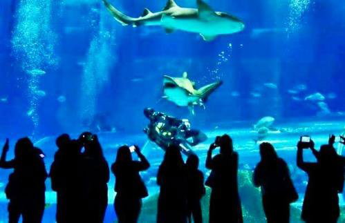Studio Metrô e VLT Consulado Carioca Cinelândia Lapa - Foto 62