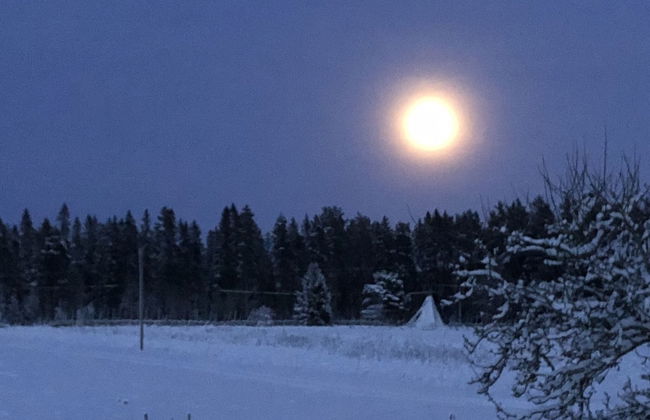 Treehouse Magpies Nest With Bubble Pool - Foto 12