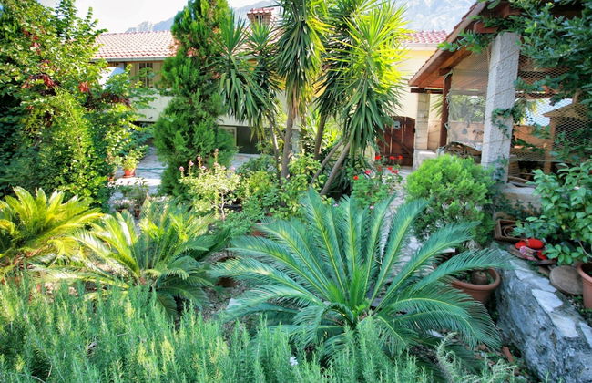 Apartments Bella Vista - Photo 22