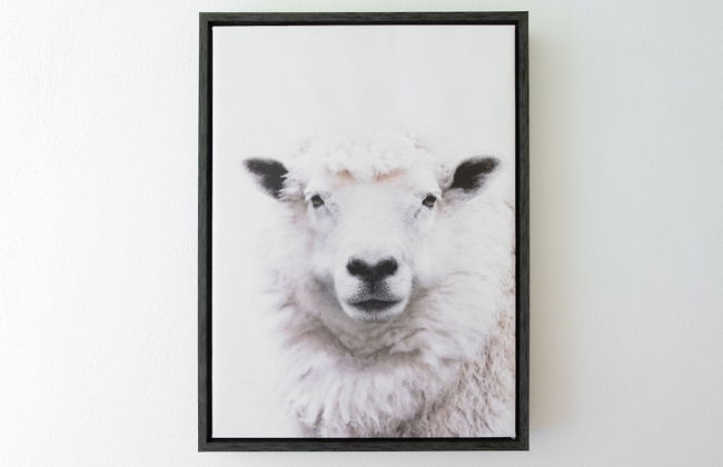 Italianway - Piandelvino 35 - Zebr - apt 5 - So-l557vino35b1 - Foto 52