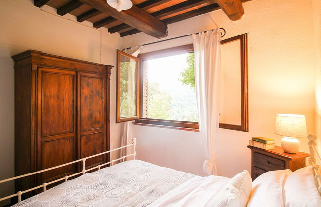 Boschi di Montecalvi - Foto 29