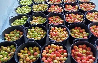 Agroturismo Erlete Goikoa -ESTAMOS EN EL CAMINO DE SANTIAGO -WE ARE ON THE CAMINO DE SANTIAGO- SENDERISMO-RUTAS Y BICICLETA - Photo 34