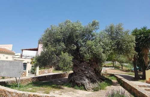 Villa Margarita's farm, private pool - Foto 19