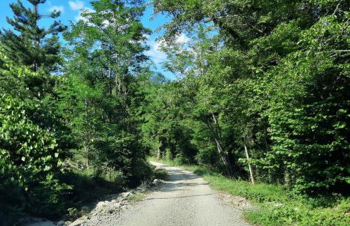 Borgo Livernano - Foto 50