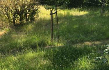 Gemütliche Ferienwohnung an der Elbe - Foto 13